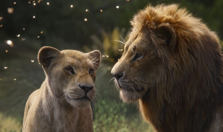 چرا فیلم شیر شاه منتقدان را دچار دوگانگی کرده است؟