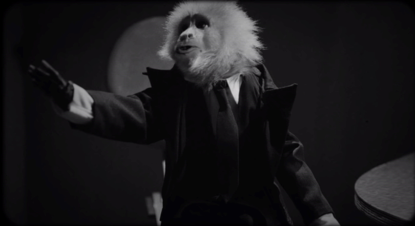 نقد فیلم ?What Did Jack Do - بازجویی از یک میمون - ویجیاتو