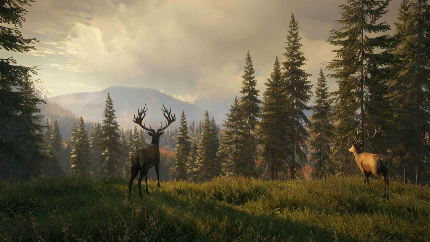 با بازی theHunter: Call of the Wild به آرامش گمشده‌ زندگیتان برسید