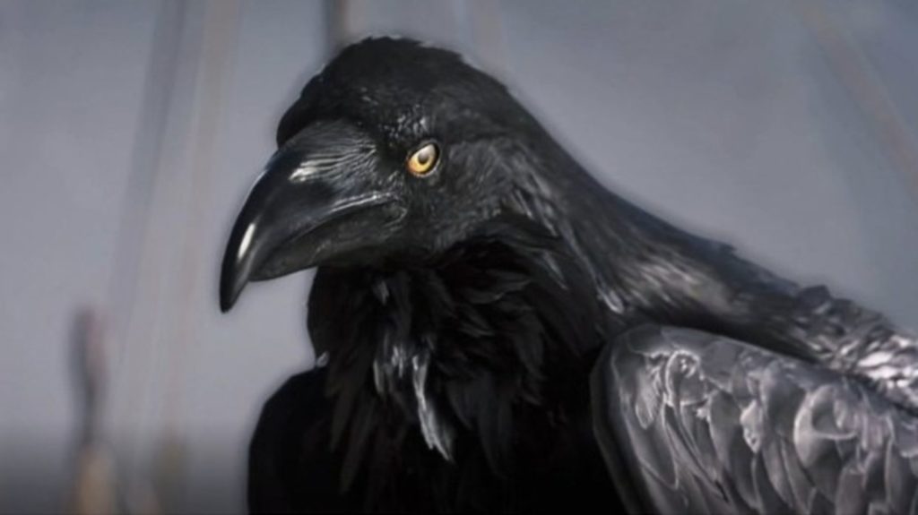 هرآنچه باید درباره Raven در Assassin’s Creed Valhalla بدانید