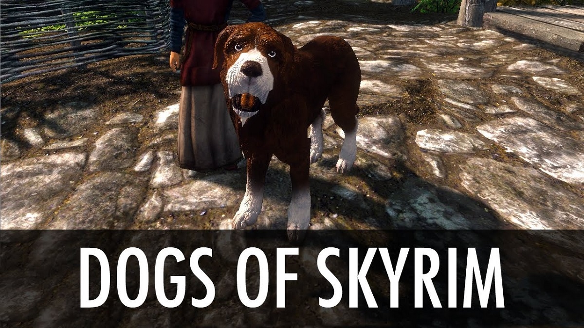 ماد جدید بازی The Elder Scrolls 5: Skyrim اجازه نوازش سگ‌ها را می‌دهد