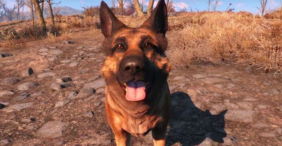 توسعه دهنده Fallout 4 از مرگ سگ بازی خبر داد