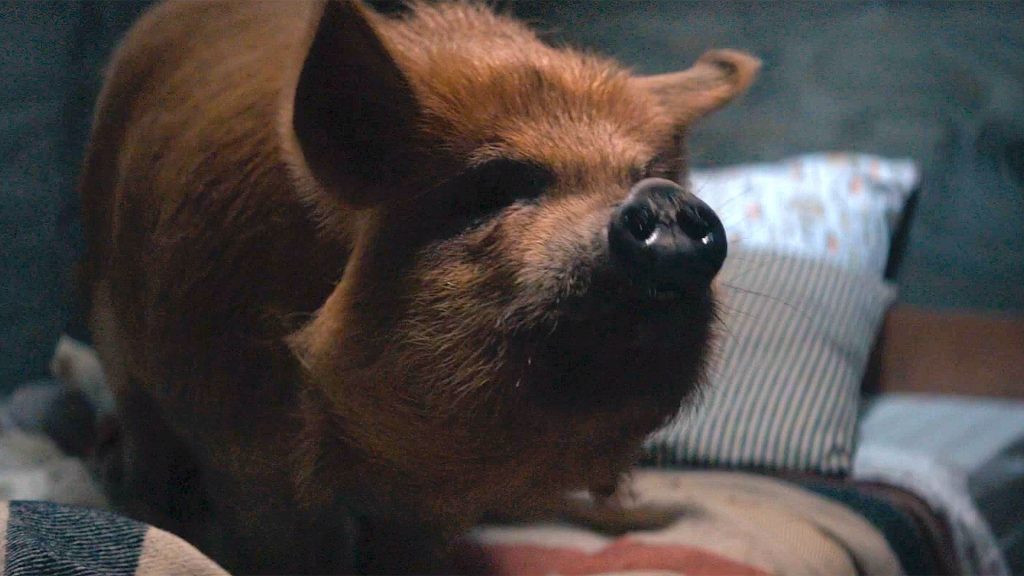نقد فیلم Pig - درخشش جالب نیکولاس کیج در یک درام کوچک - ویجیاتو