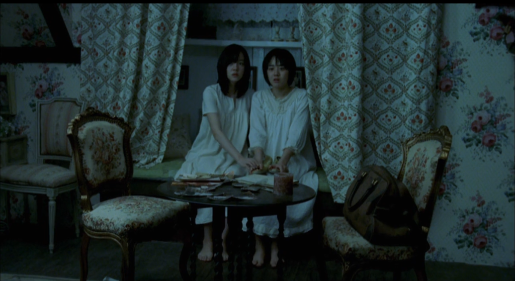 سینمای وحشت کره: نقد فیلم A Tale of Two Sisters - وحشت ناپایان اتفاقات ناگوار - ویجیاتو