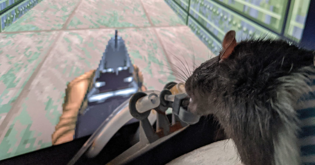 استریم بازی کردن موش‌ها در توییچ