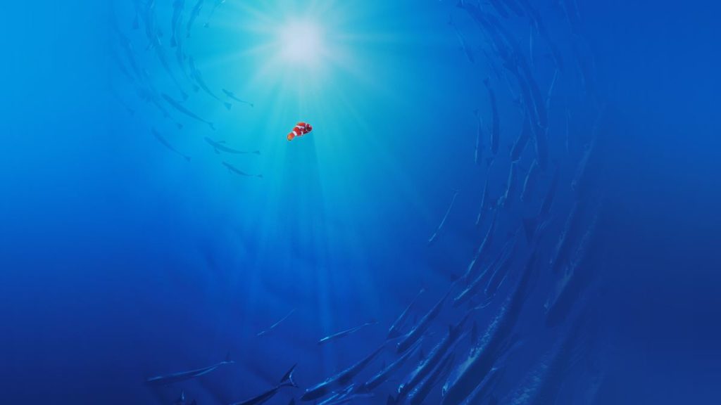 عنوان Finding Nemo از آن دسته انیمیشن ها محسوب می‌شود که احساسات فراوانی را در خود جای داده است.