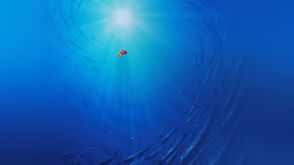 papers.co-aq58-finding-dory-disney-nemo-cute-35-3840x2160-4k-wallpaper-1024x576.jpg