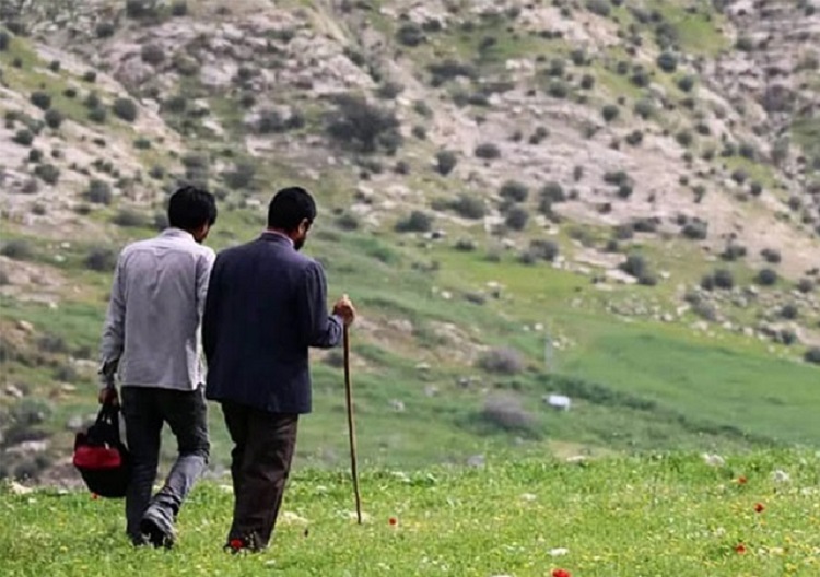 فیلم درب