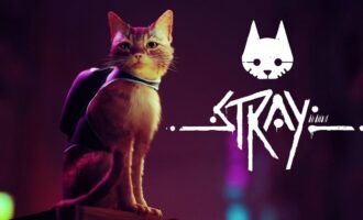 Stray