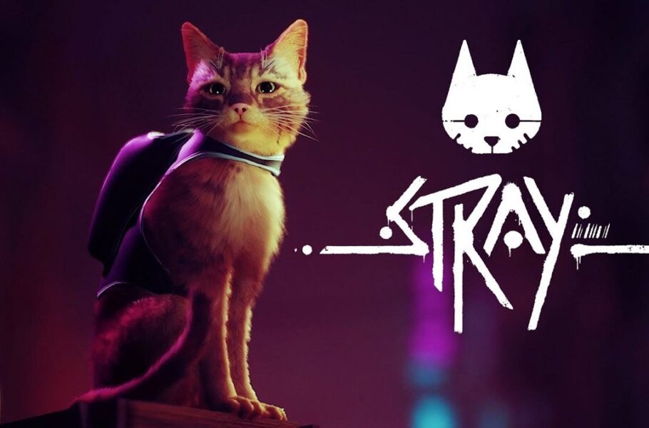 Stray