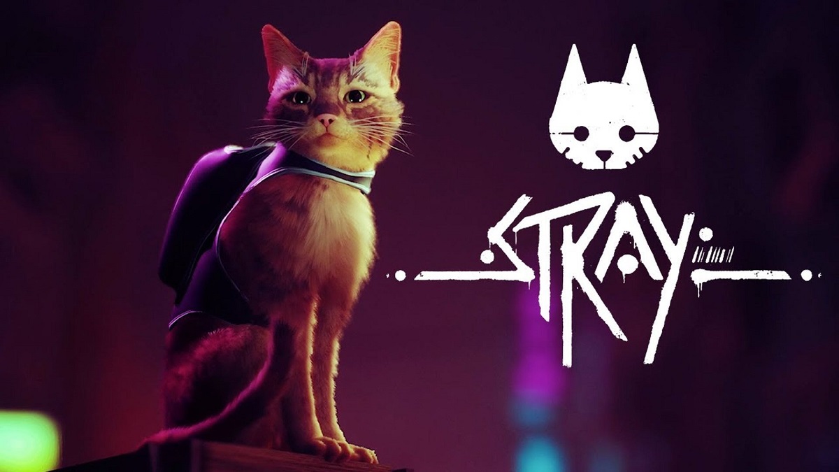 بازی شبیه‌ساز گربه Stray قطعا امسال عرضه خواهد شد