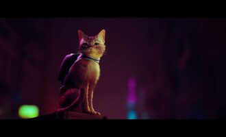 Stray