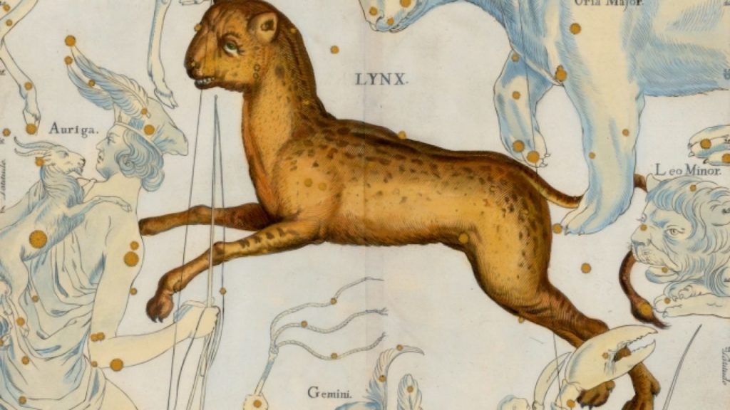 Lynx Mythology