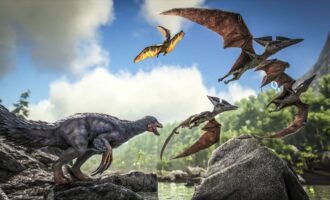 Ark