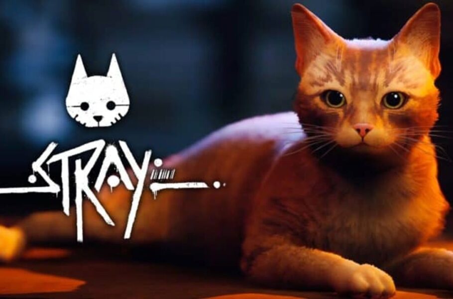 بازی Stray