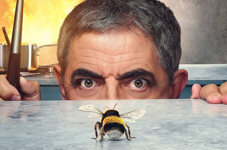 نقد سریال Man Vs Bee