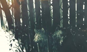 استودیو جدید کارگردان ویچر ۳