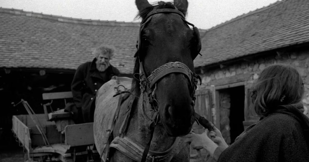 فیلم سیاه و سفید اسب تورین