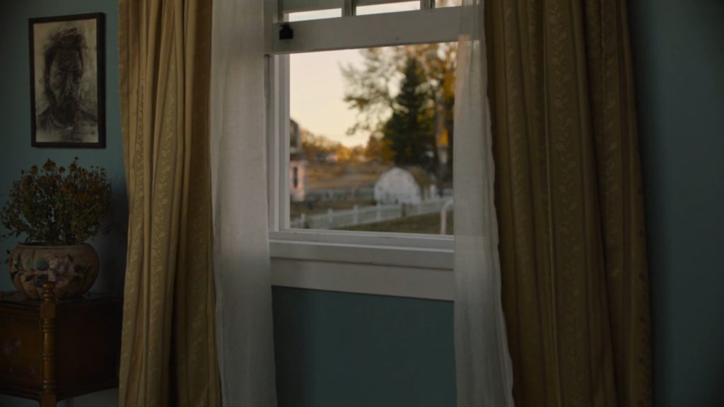 The Last of Us HBO Window