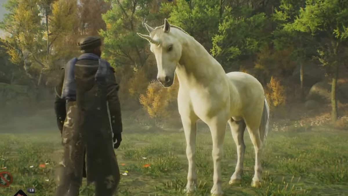 چگونه اسب تک‌شاخ را در Hogwarts Legacy به دست آوریم؟