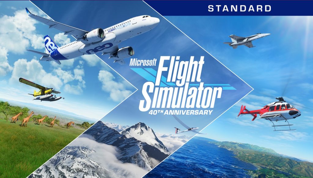 Microsoft Flight Simulator (حجم)