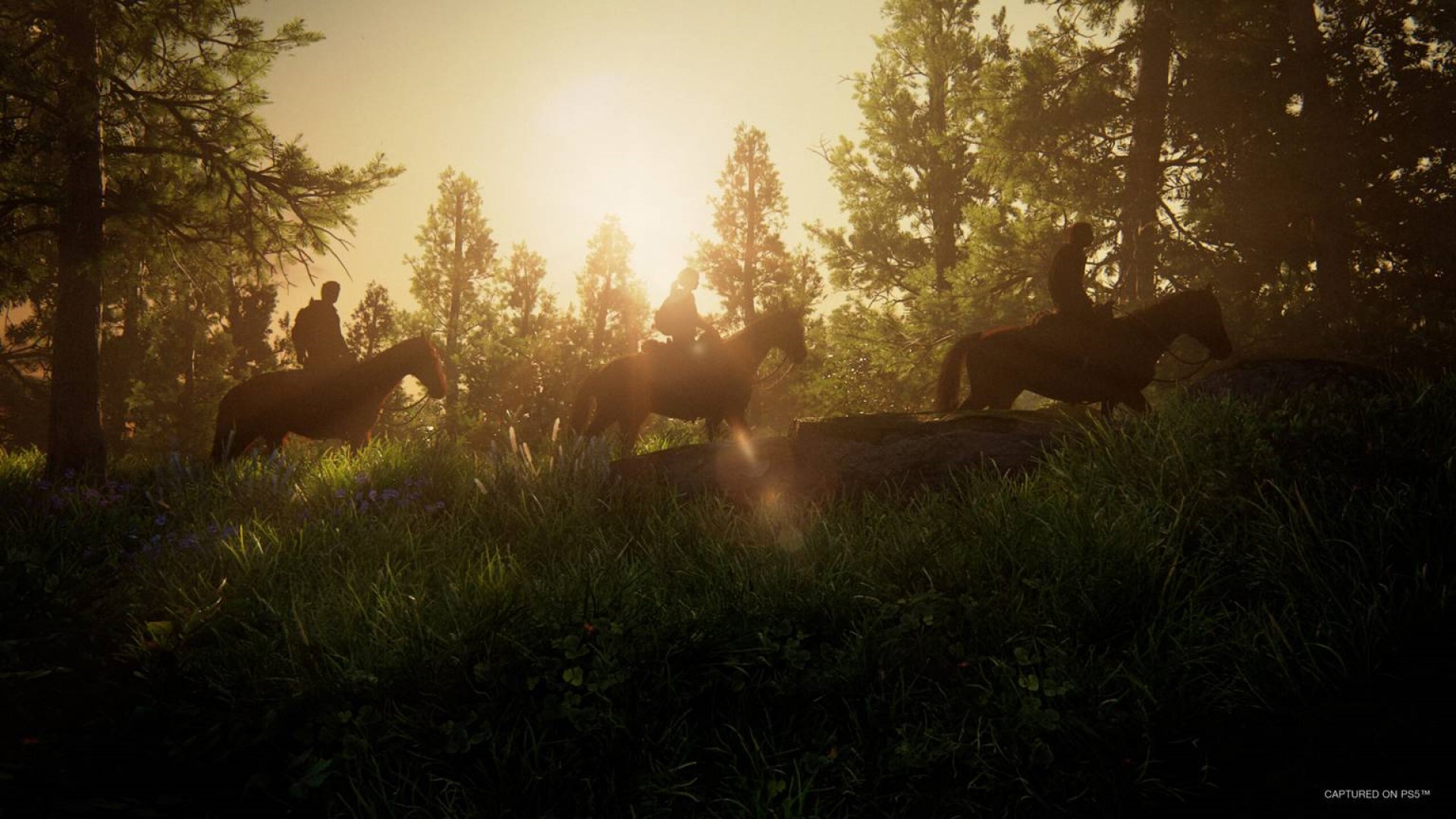ناتی داگ: بهینه‌سازی نسخه پی‌سی The Last of Us Part 1 بر استیم دک اولویت دارد