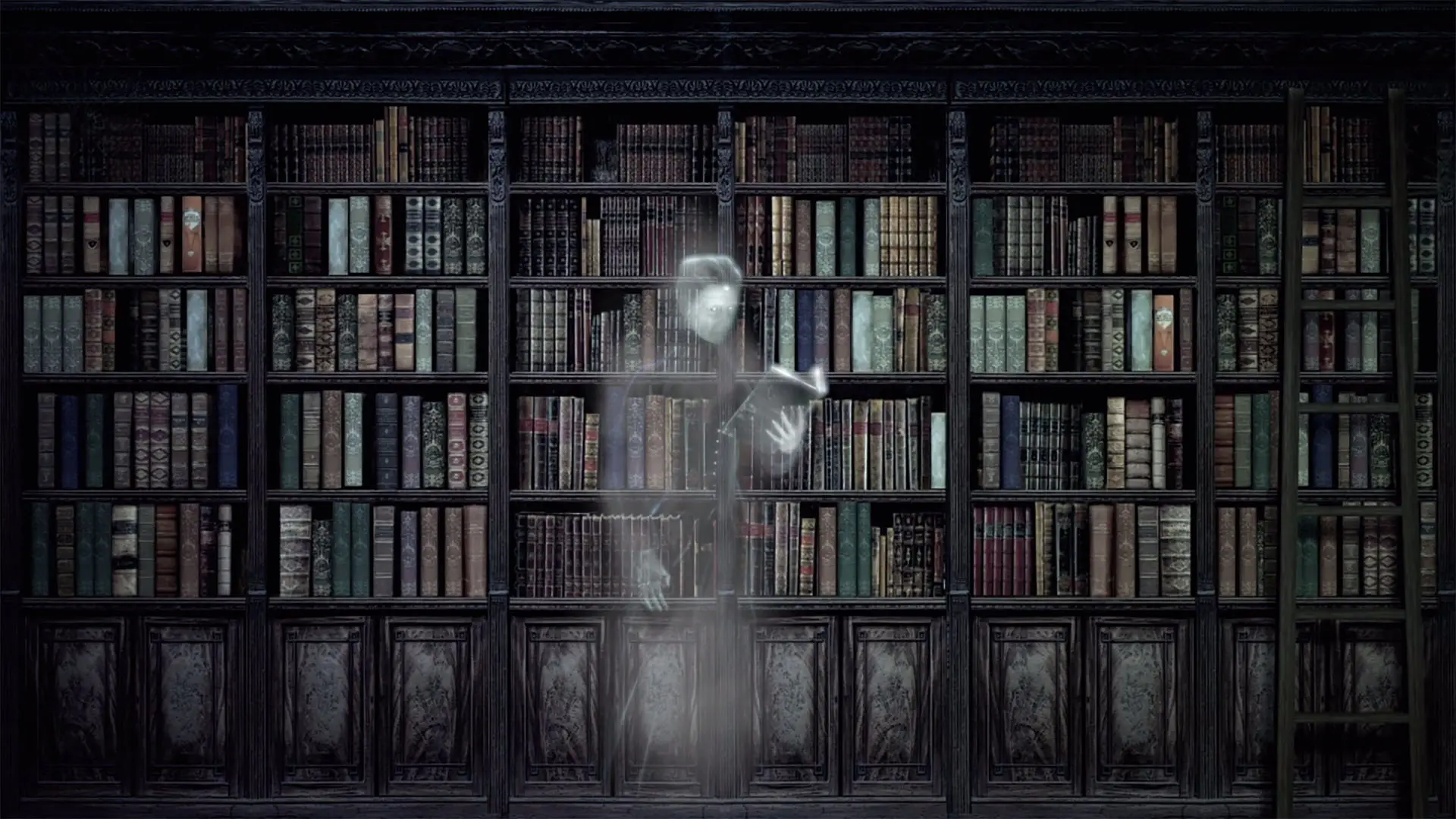 Темная комната книга. Готическая библиотека книжная капелла. Библиотека Dark Academia. Полки для книг. Стеллажи для книг в библиотеку.
