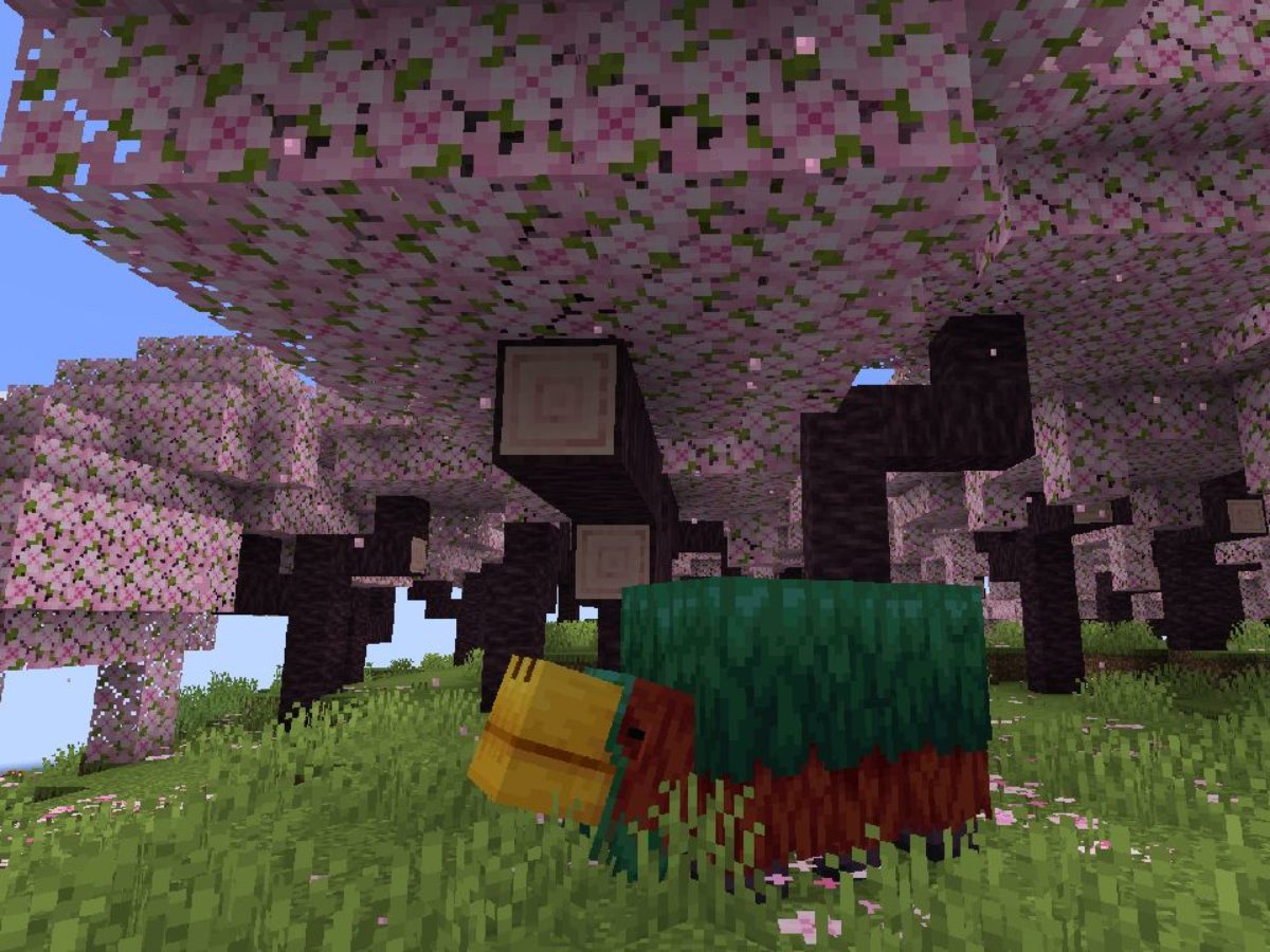 Minecraft Milad آپدیت بزرگ ۱.۲۰ برای بازی Minecraft منتشر شد