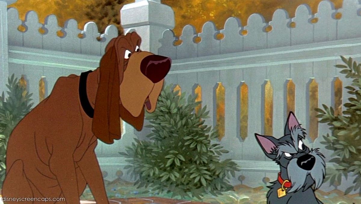 تصویری از Jock and Trusty از انیمیشن Lady and the Tramp