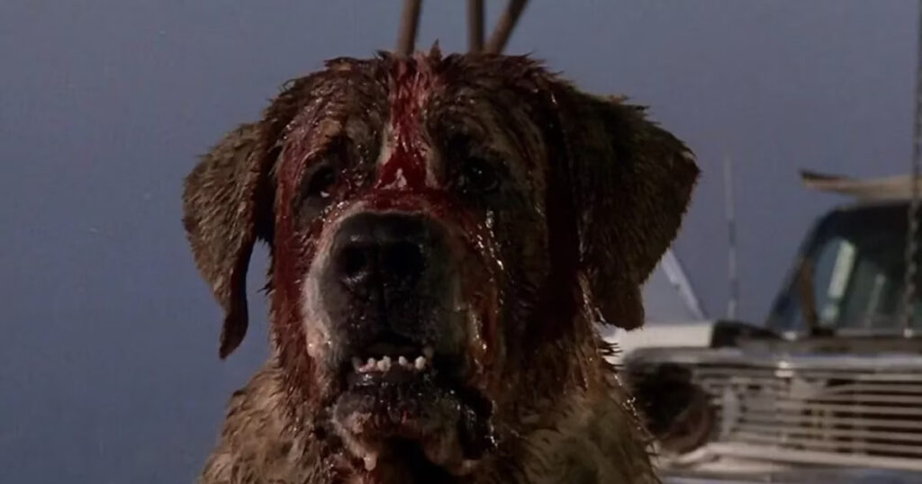 Cujo