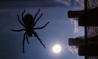 ۱۰ فیلم ترسناک که از فوبیا انسان‌ها تغذیه می‌کنند