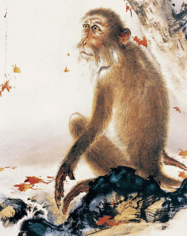 ماجراجویی‌های میمون شاه - ویجیاتو