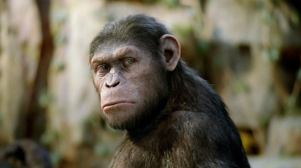 تصویری از فیلم علمی تخیلی Rise of the Planet of the Apes