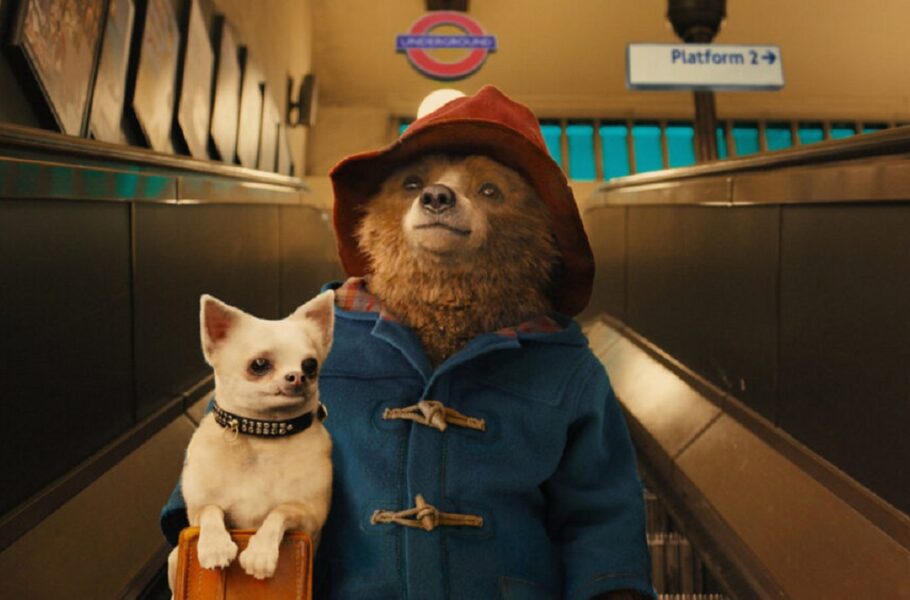 فیلم Paddington 3