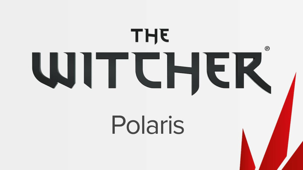 تقریبا نیمی از اعضای سی‌دی پراجکت حالا روی بازی The Witcher 4 کار می‌کنند - ویجیاتو