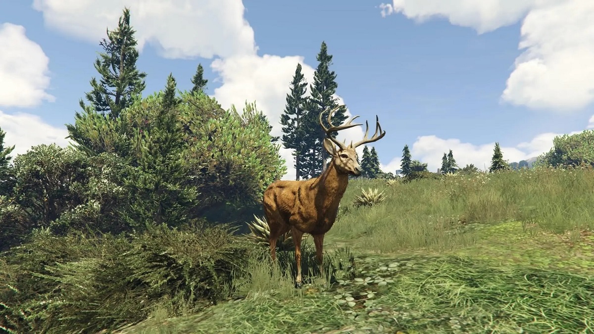 حیات وحش و حیوانات به بازی GTA Online اضافه می‌شوند