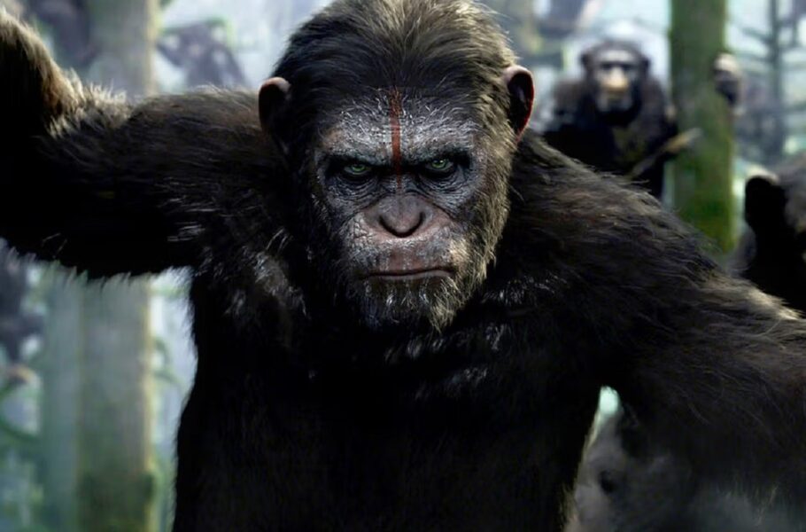 فیلم kingdom of the Planet of the Apes