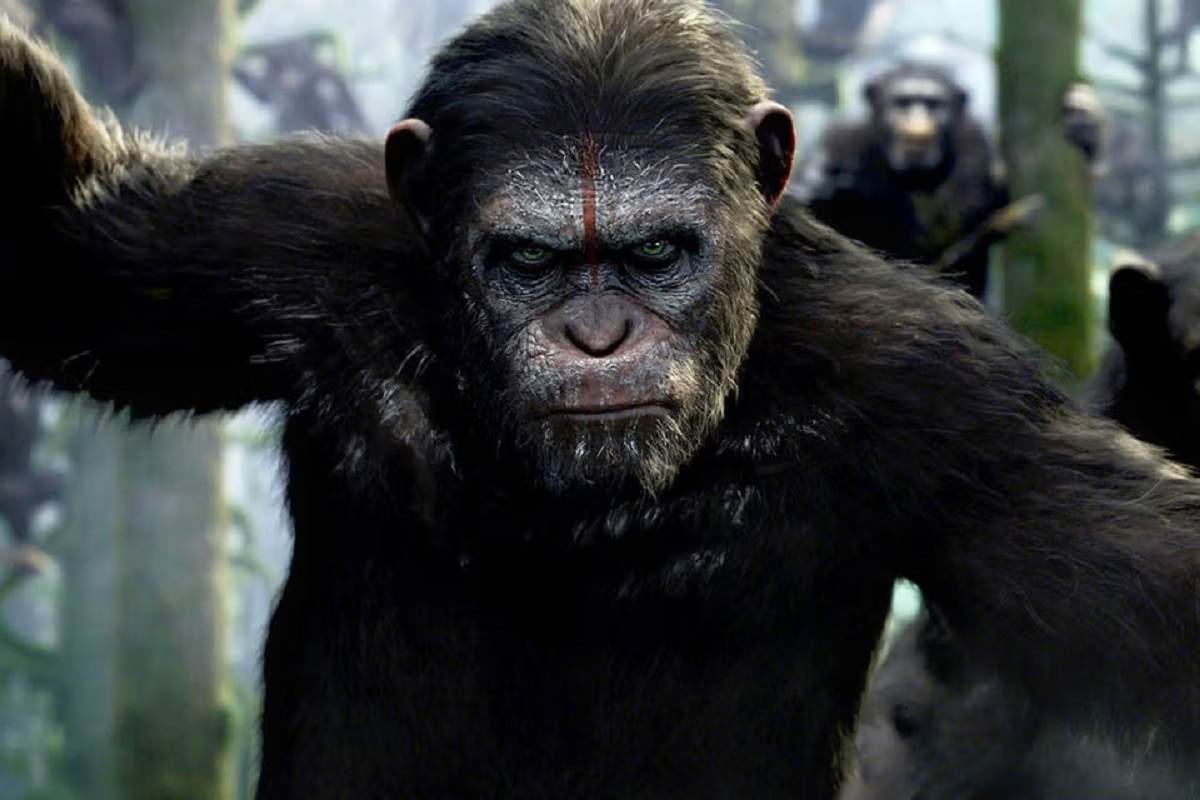 تصویر جدیدی از فیلم Kingdom of the Planet of the Apes منتشر شد