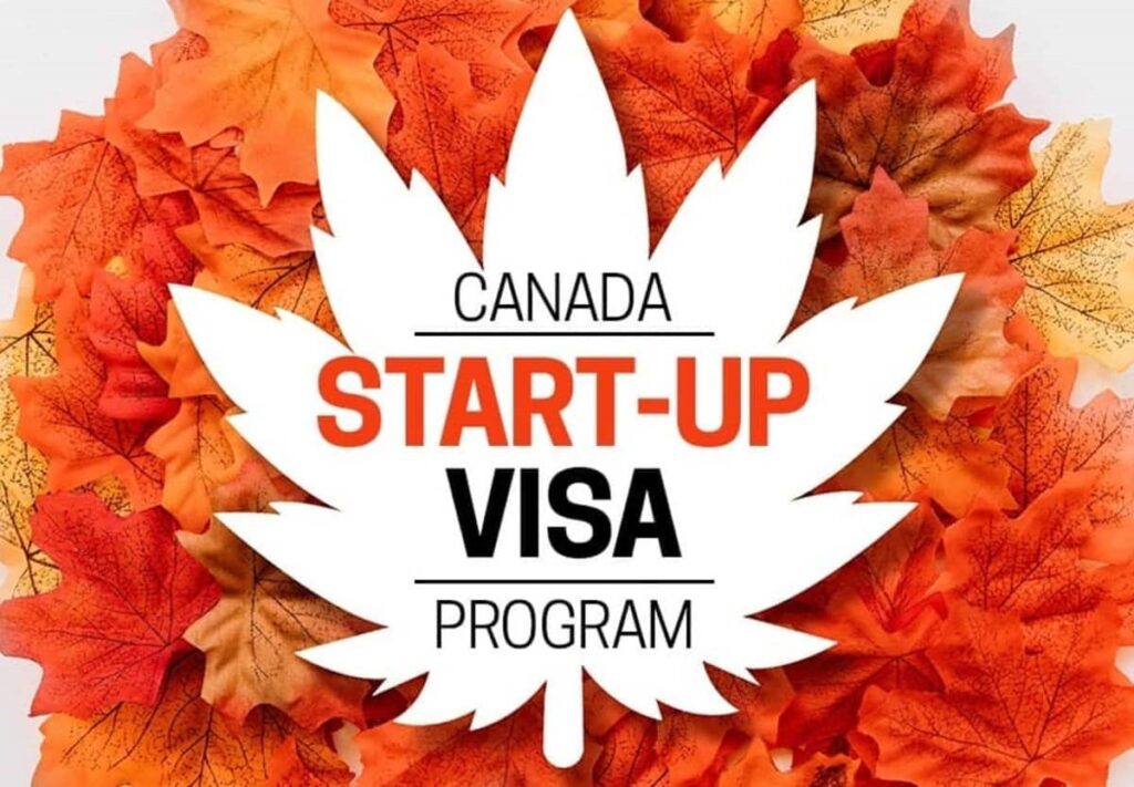 ورود به آینده ای بهتر با ویزای استارتاپ کانادا - ویجیاتو