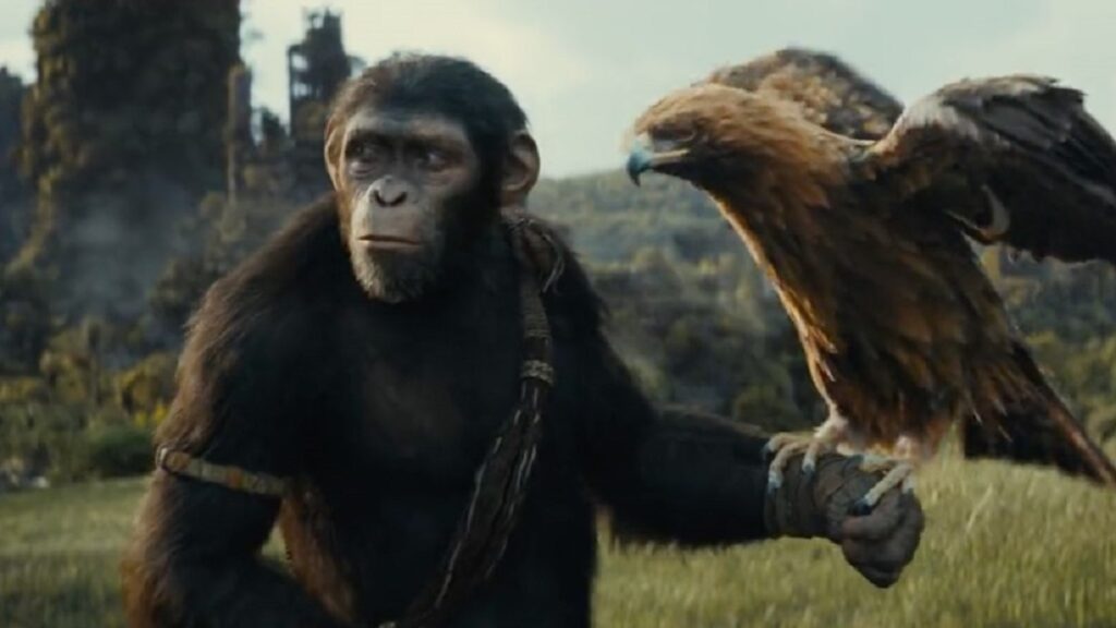 فیلم Kingdom Of The Planet Of The Apes 