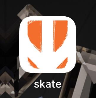 بازی Skate