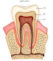 دندان درد + پوسیدگی روی دندان +درمان