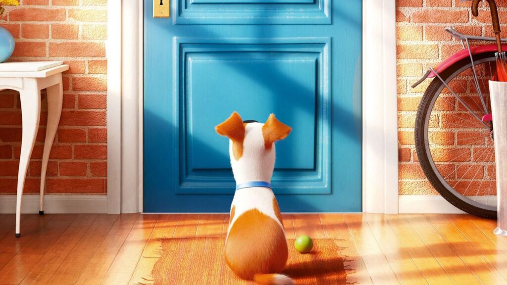 The Secret Life of Pets  (2016)