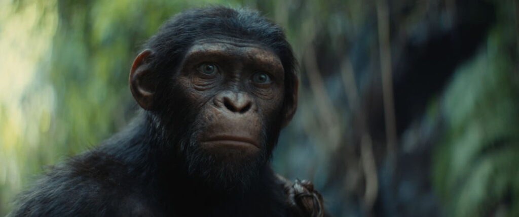 نقد فیلم Kingdom of the Planet of the Apes