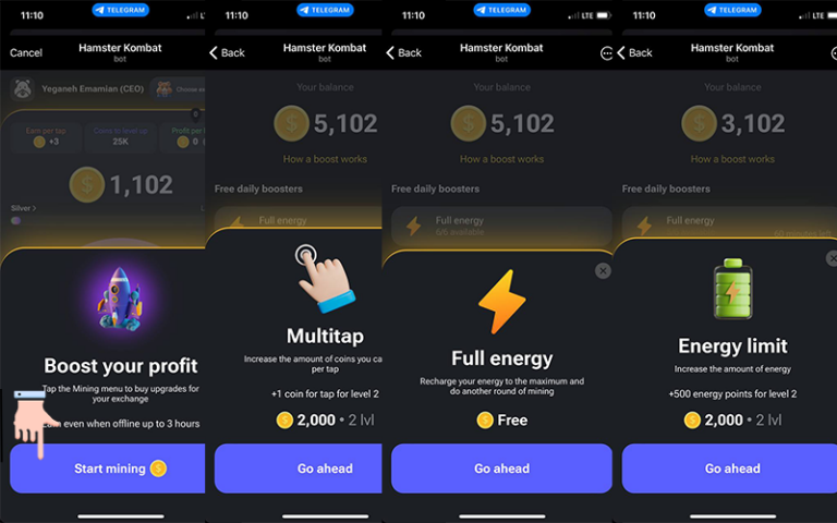 پروفیت مهم تره یا سکه