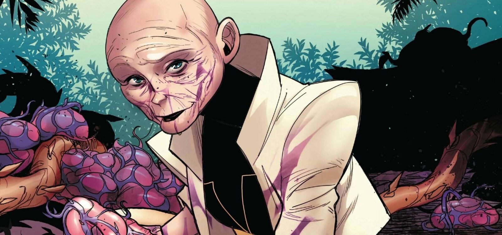 کاساندرا نوا - Banner