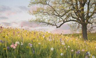 گپ تایم: پیشواز نوروز ۱۴۰۴ و شروع یک سال جدید