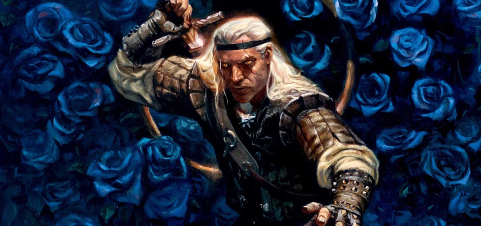 کتاب‌های ویچر - Banner