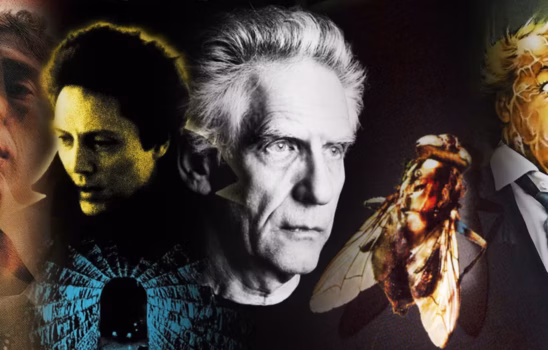 بیوگرافی دیوید کراننبرگ