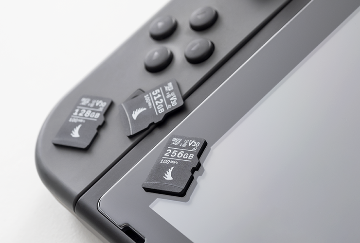 کارت حافظه روی صفحه نمایش نینتندو سوییچ